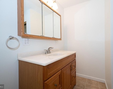 505 Spring Mill Avenue - Photo Thumbnail 19