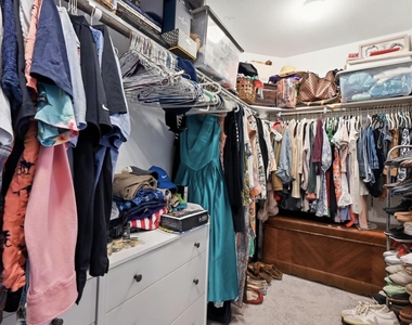 11906 Dispatch Way - Photo Thumbnail 15