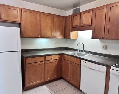 211 E Ohio Street - Photo Thumbnail 7