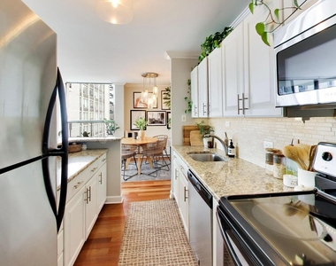 1460 N Sandburg Terrace - Photo Thumbnail 9