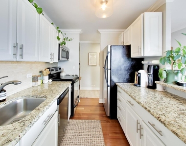 1460 N Sandburg Terrace - Photo Thumbnail 8