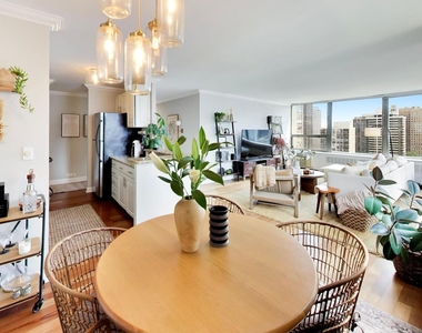 1460 N Sandburg Terrace - Photo Thumbnail 7