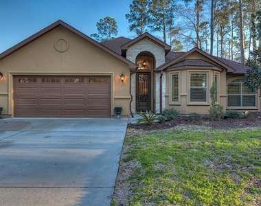 13419 Sea Island Drive - Photo Thumbnail 1