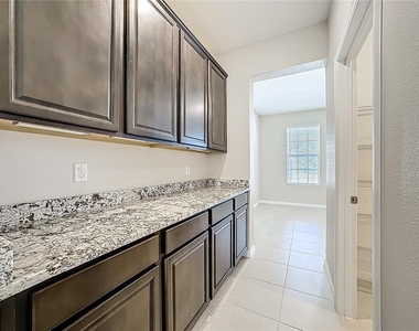 13071 Brookside Moss Drive - Photo Thumbnail 17