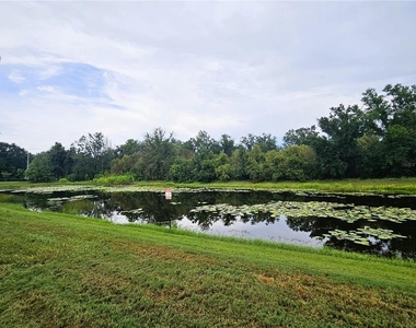 13251 Dupree Hills Place - Photo Thumbnail 37