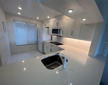 6268 Palma Del Mar Boulevard S - Photo Thumbnail 10