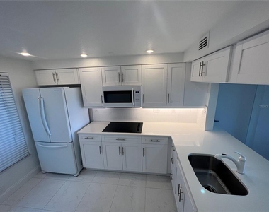 6268 Palma Del Mar Boulevard S - Photo Thumbnail 12