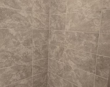 217 Oak Lane Circle - Photo Thumbnail 10