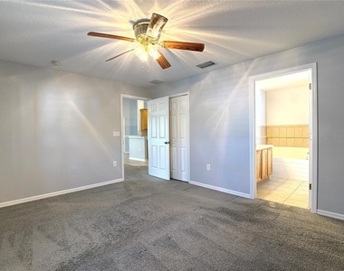 310 White Ibis Lane - Photo Thumbnail 17