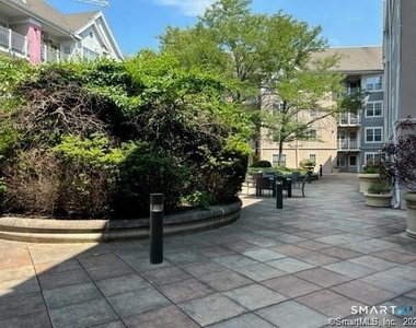 488 Bedford Street - Photo Thumbnail 3