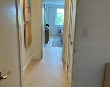 93 Morgan Street - Photo Thumbnail 20