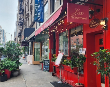 East 87th Street - Photo Thumbnail 6