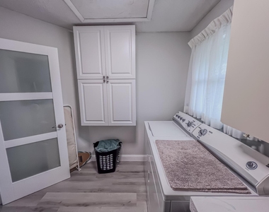 1127 E Seminole Avenue E - Photo Thumbnail 17
