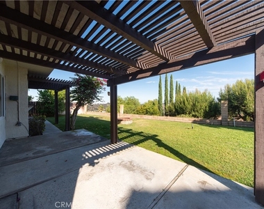 21515 Chirping Sparrow - Photo Thumbnail 25