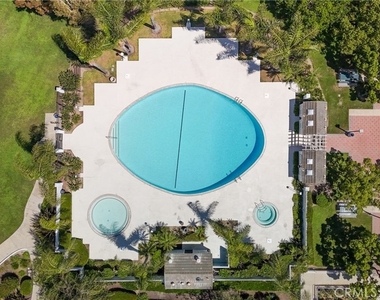 24 Rockrose - Photo Thumbnail 38
