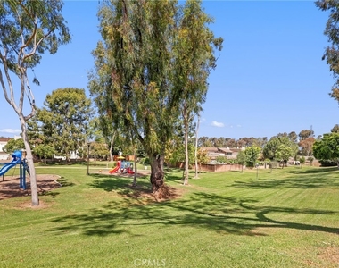 24 Rockrose - Photo Thumbnail 49