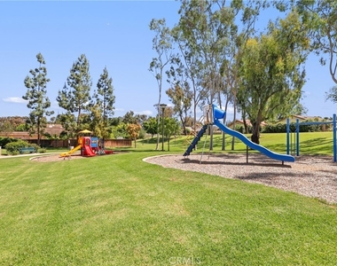 24 Rockrose - Photo Thumbnail 48