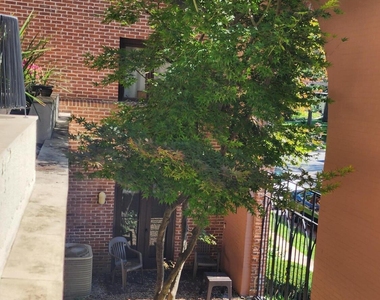 106 Spring Street - Photo Thumbnail 19