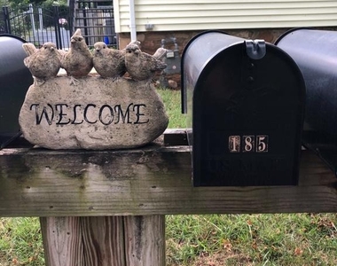 185 Main Street - Photo Thumbnail 35