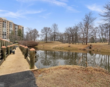 15101 Interlachen Drive - Photo Thumbnail 12