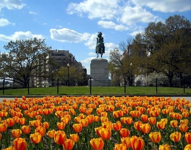 2201 L Street Nw - Photo Thumbnail 21