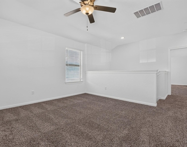 221 Sand Lily Ln - Photo Thumbnail 20