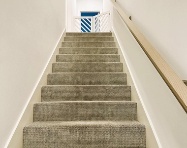 805 Dorothy Street - Photo Thumbnail 20