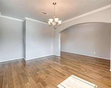 23514 San Ricci Court - Photo Thumbnail 2