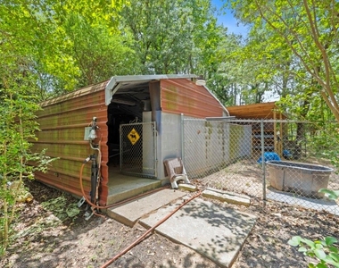 203 Mapleleaf Street - Photo Thumbnail 44