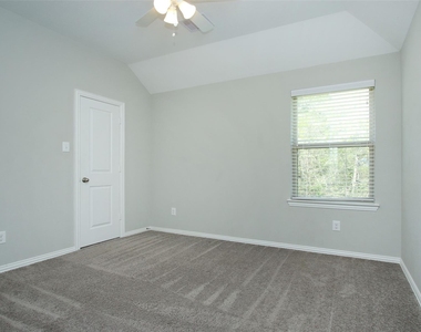 177 Emory Birch Drive - Photo Thumbnail 29