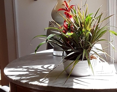 2311 Driscoll Street - Photo Thumbnail 7