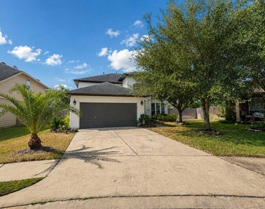 16935 Jelly Park Stone Drive - Photo Thumbnail 1