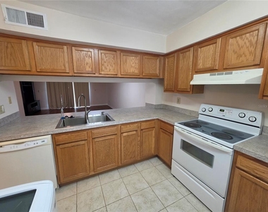 5202 Sunridge Palms Drive - Photo Thumbnail 5
