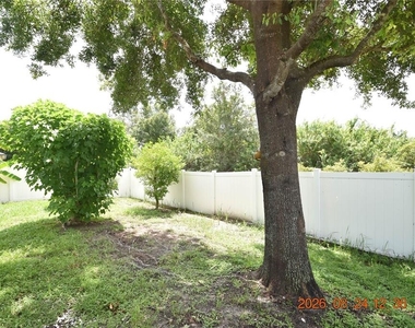 11405 Flora Springs Drive - Photo Thumbnail 61