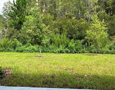 32519 Midsummer Night Lane - Photo Thumbnail 9