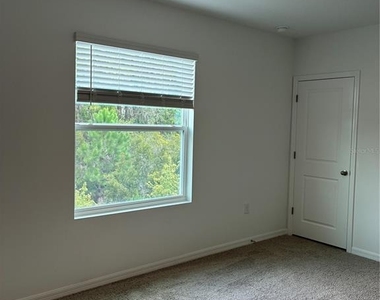 32519 Midsummer Night Lane - Photo Thumbnail 6