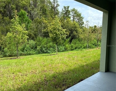 32519 Midsummer Night Lane - Photo Thumbnail 10