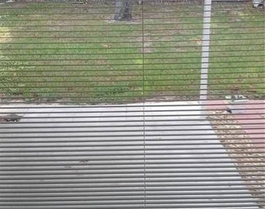 1284 Malone Avenue - Photo Thumbnail 1