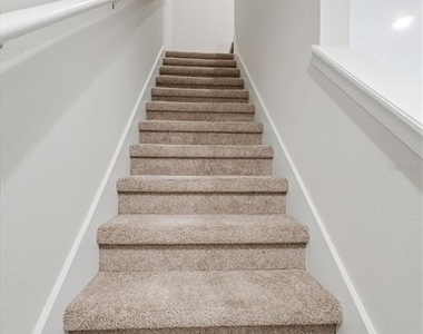19 Alexander Lane - Photo Thumbnail 7