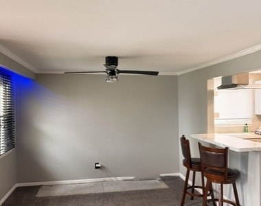 440 University Avenue [lower Unit] - Photo Thumbnail 8