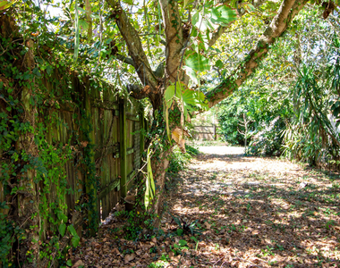 1435 White Pine Drive - Photo Thumbnail 2