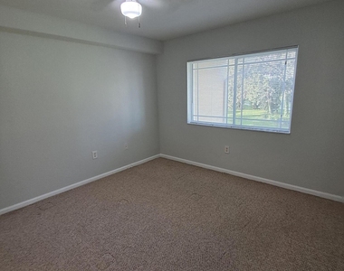 161 Sw Palm Drive - Photo Thumbnail 10