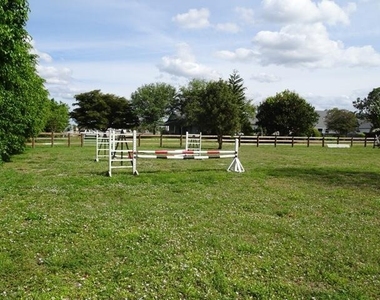 819 Cindy Circle Lane - Photo Thumbnail 14