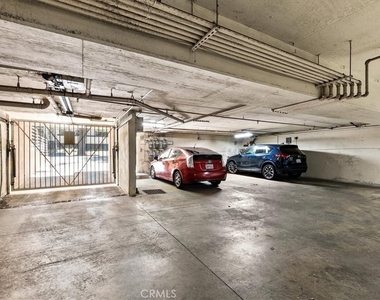 703 Locust Street - Photo Thumbnail 18