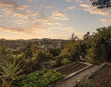 339 Adelaide Drive - Photo Thumbnail 20