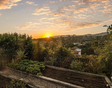 339 Adelaide Drive - Photo Thumbnail 32