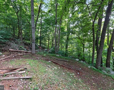 261 Rocky Spring Lane - Photo Thumbnail 4