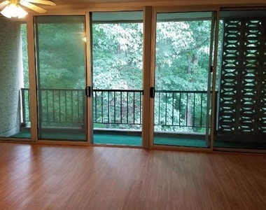 4345 Ivymount Court - Photo Thumbnail 3