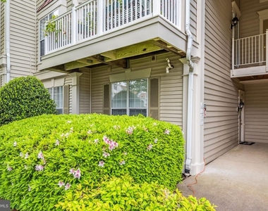 8202 Catbird Circle - Photo Thumbnail 22