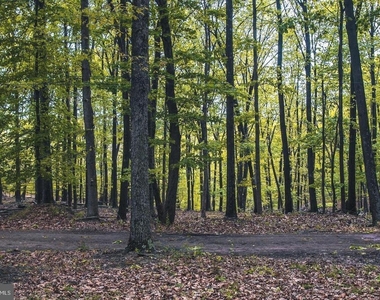 220 Retreat Lane - Photo Thumbnail 20